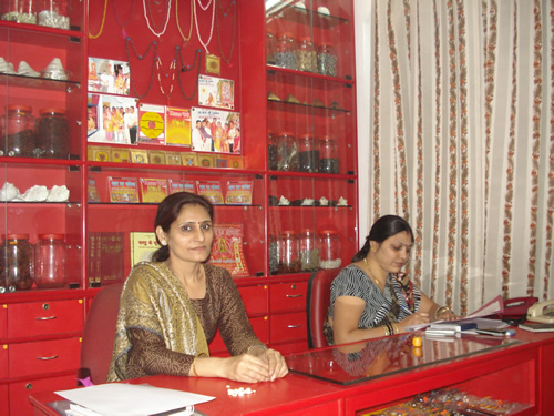 top astrologer delhi
