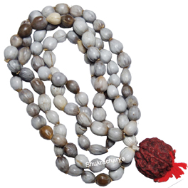 Natural Vaijanti Mala; Original & Certified